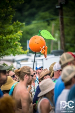 Not all clementines are created equal at Del!