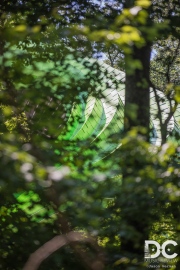 Chrysalis at Symphony Woods - Columbia, MD