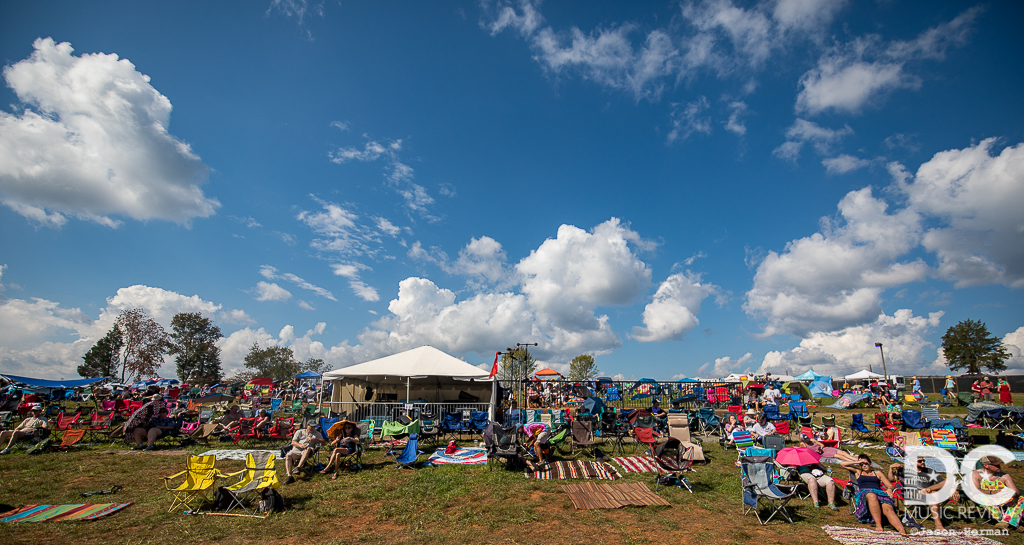 The Festy Experience