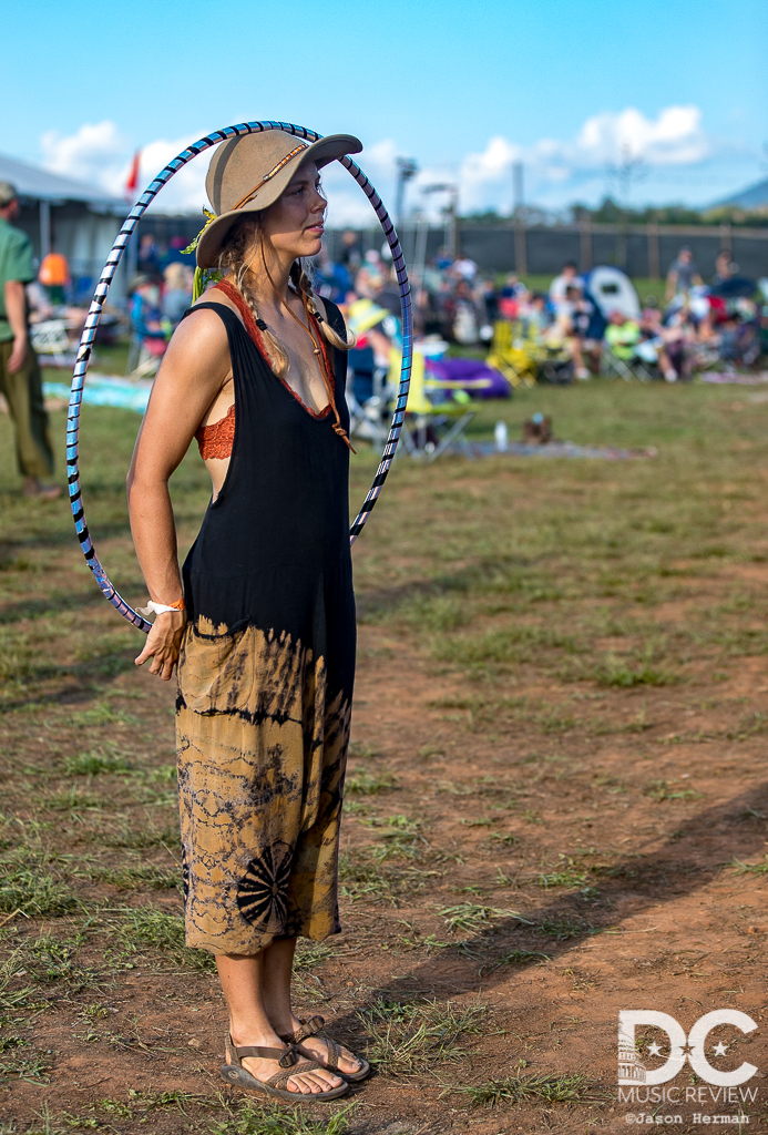 The Festy Experience