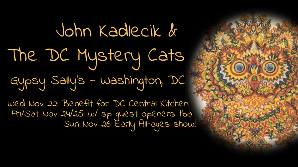 DC Mystery Cats - Turkey Run