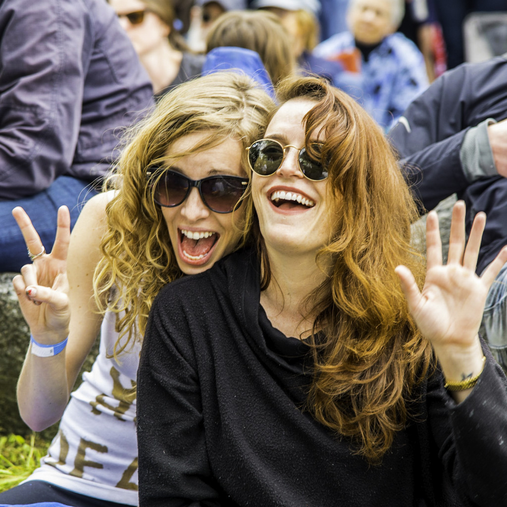 Kingman Island Bluegrass and Folk Festival, 2018