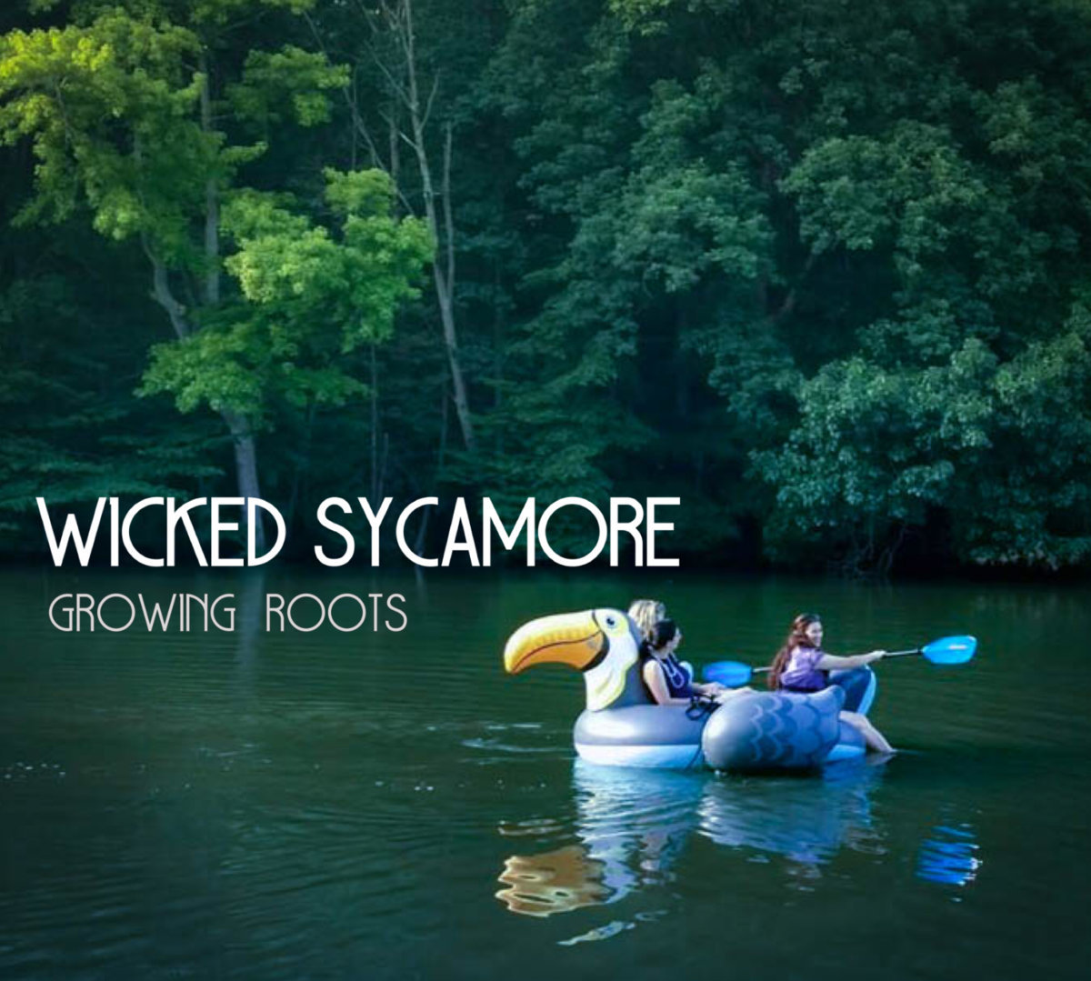 Wicked Sycamore - Growing Roots