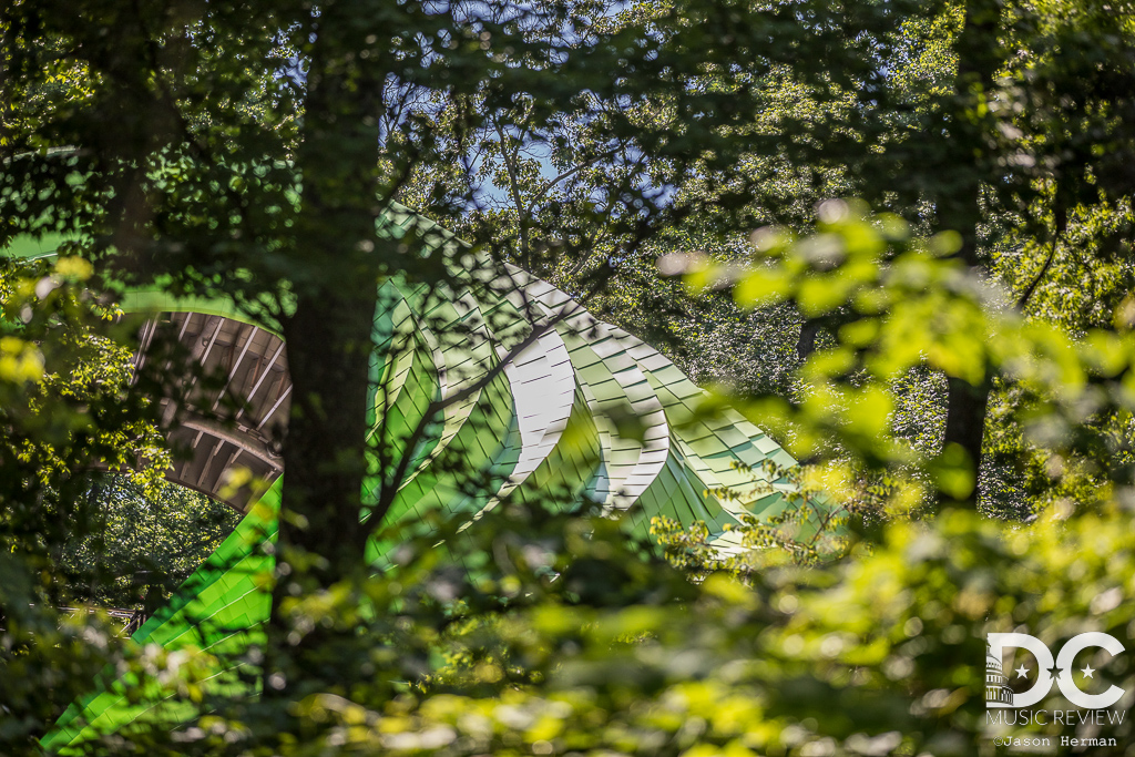 Chrysalis Peeking through the woods