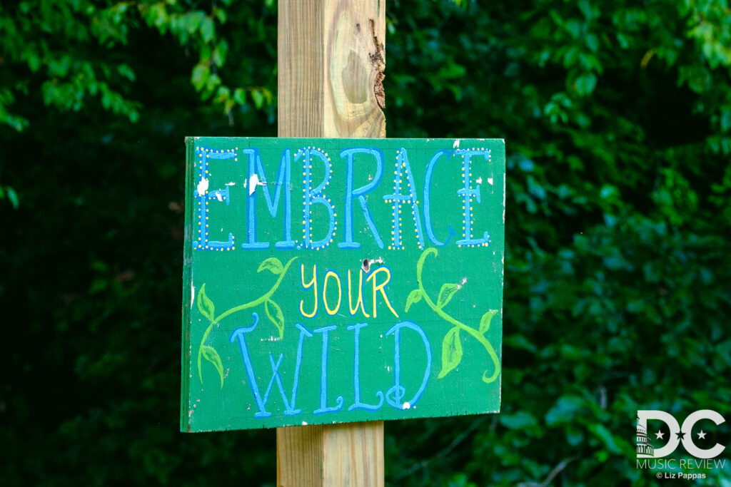 We loved and leaned into the signs at FloydFest