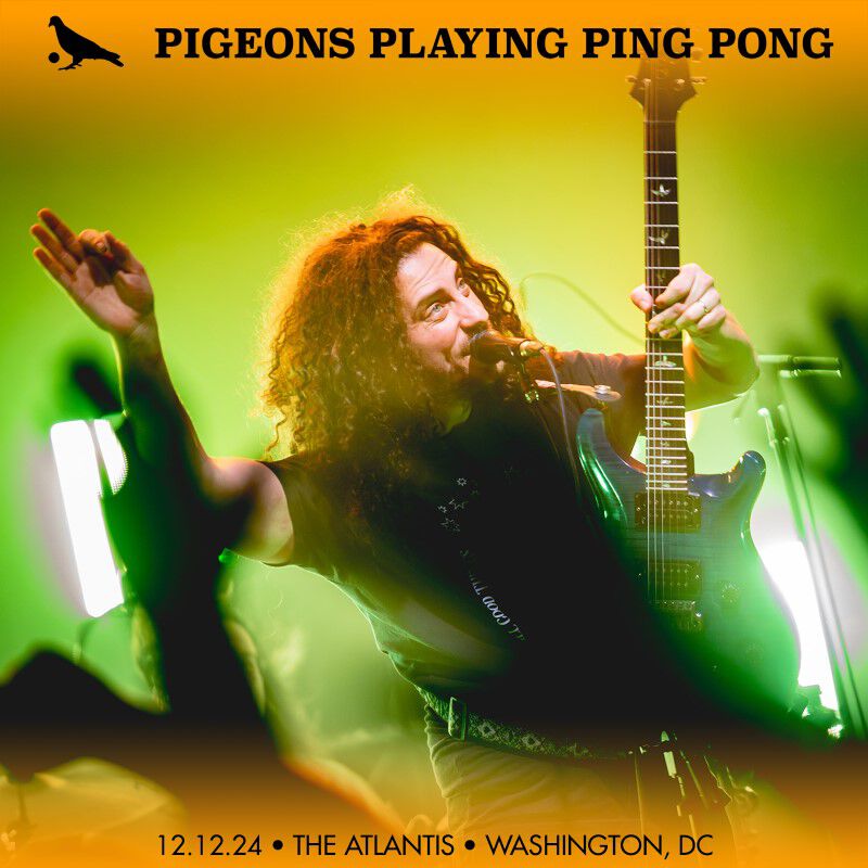 Pigeons Playing Ping Pong Soundboard December 12, 2024