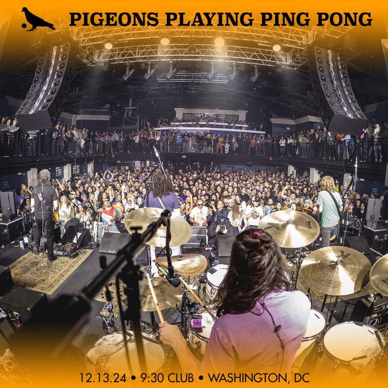 Pigeons Playing Ping Pong Soundboard December 13, 2024