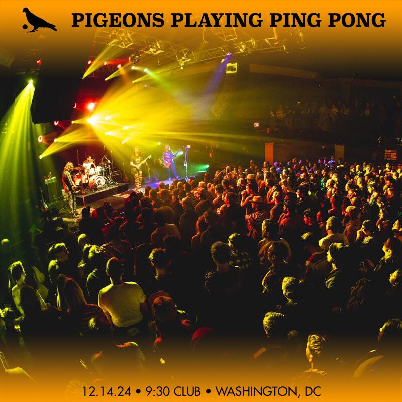 Pigeons Playing Ping Pong Soundboard December 14, 2024